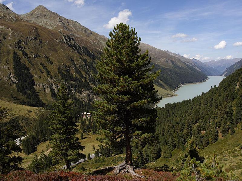 Plattnerhof เคาเนอร์ทาล ภายนอก รูปภาพ
